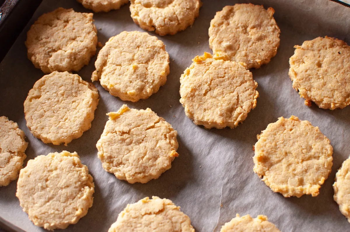 Cheddar Biscuit Review: What to Look For in Savory Biscuits
